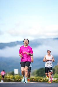 BIB: 
                            <button type="button" onclick="openModal(26542803)" class="btn btn-primary btn-sm float-right btn-popup" data-toggle="modal" data-target=".modal-high-quality">
                        <i class="fas fa-shopping-cart"></i> Add to Cart
                    </button>
                                            <button type="button" onclick="isThisMe(26542803, true)" class="btn btn-success btn-sm float-right btn-popup btn-isme hidden" data-toggle="tooltip" data-placement="bottom" title="นี่คือรูปของคุณใช่ไหม คลิกที่นี่เพื่อเอาเข้าอัลบั้ม">
                        <i class="fas fa-plus"></i> Add to album
                    </button>
                    <button type="button" onclick="isThisMe(26542803, false)" class="btn btn-warning btn-sm float-right btn-popup btn-isnotme hidden">
                        <i class="fas fa-ban"></i> Remove from album
                    </button>